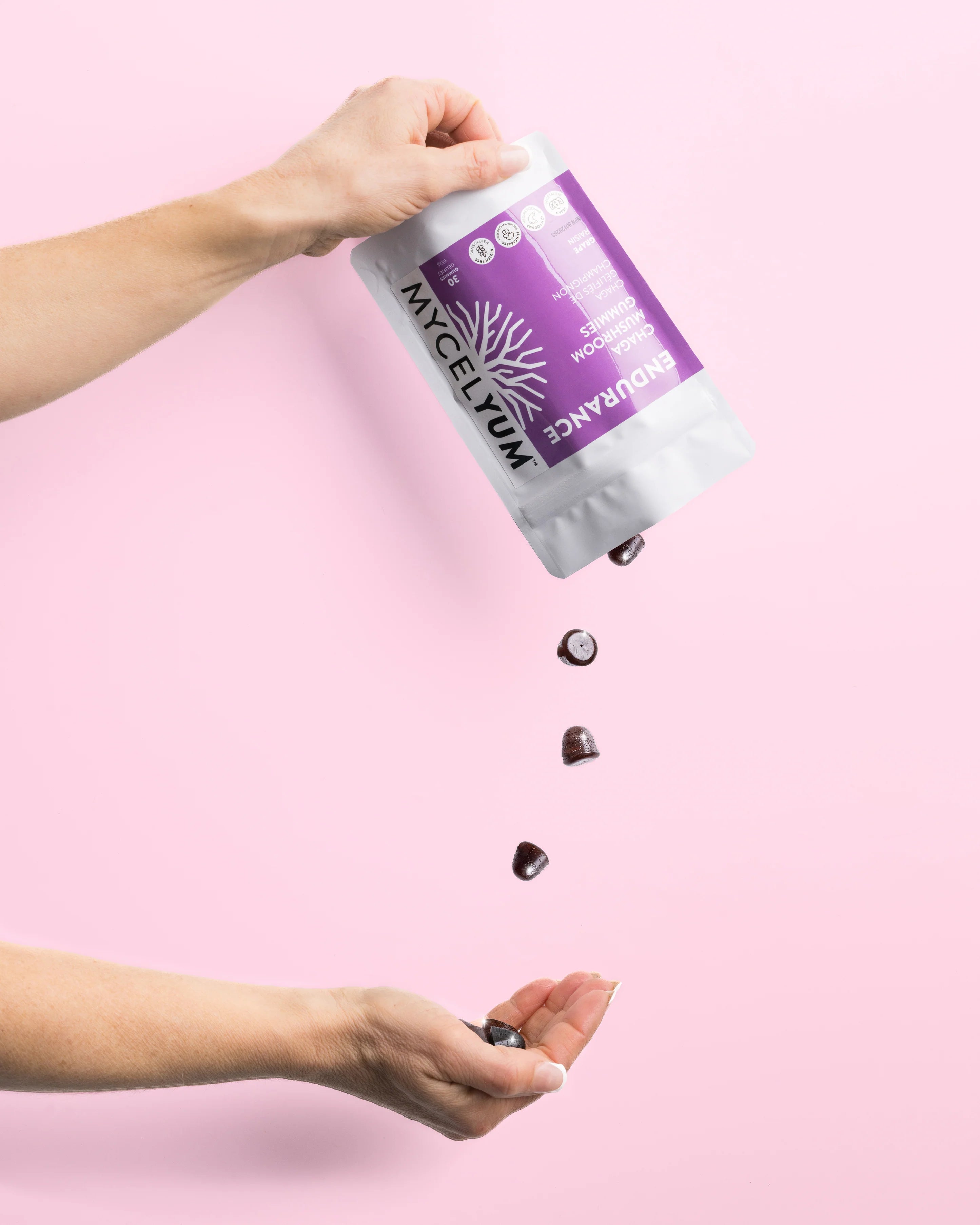Endurance Chaga Mushroom Gummies