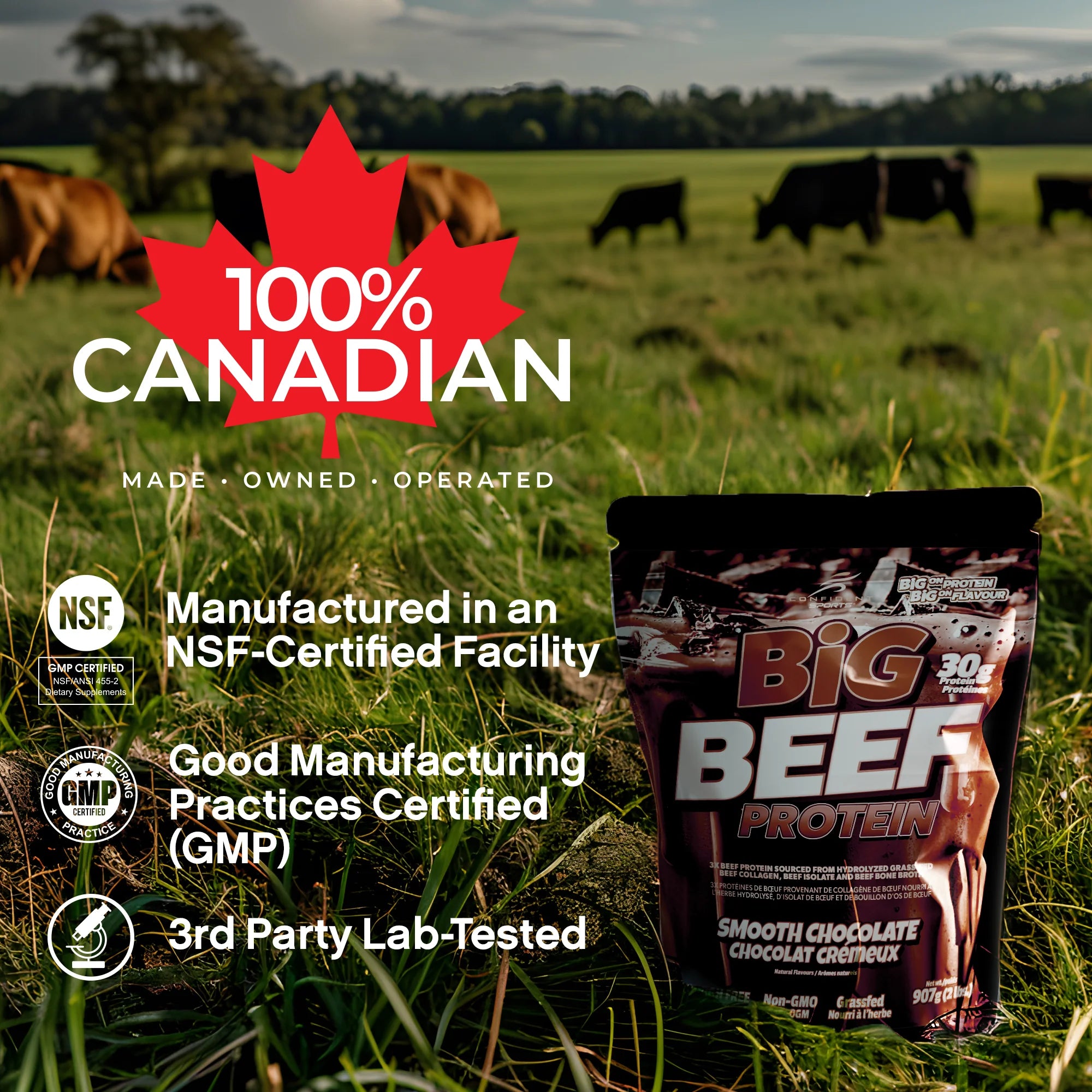 Big Beef Protein Powder